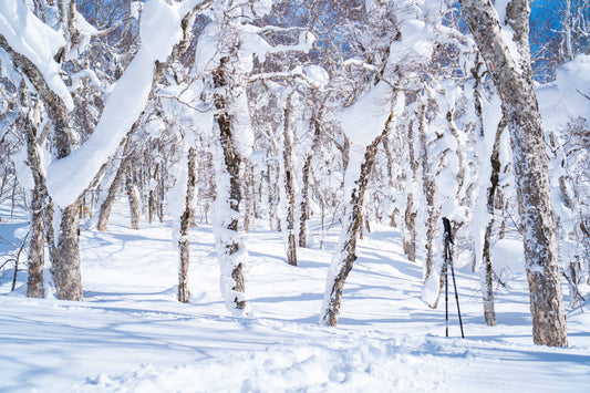 Orofure Pass Snowshoe Tour (Short)